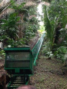 Belizian Jungle Tram / Incline Lift Project cutting through 505 ft of lush rainforest hillside
